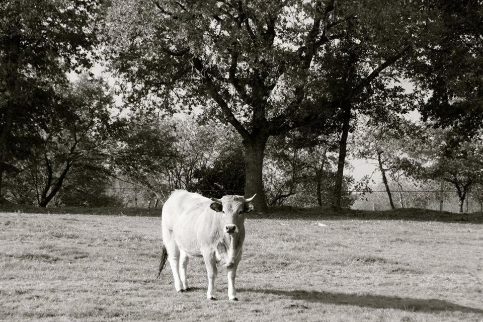 Вилла Petit Gite A La Ferme Rosnay  Экстерьер фото